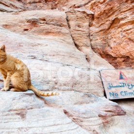 No Climbing Thursday 7th July