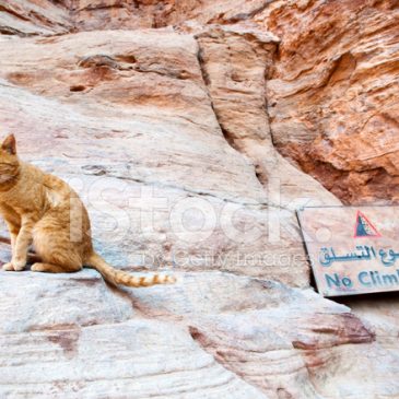 No Climbing Thursday 7th July